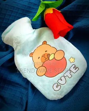 Photo - Hot Water Bag