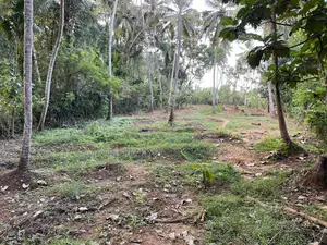 Photo - Land for Sale in Polgahawela