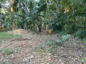 Land for Sale in Polgahawela