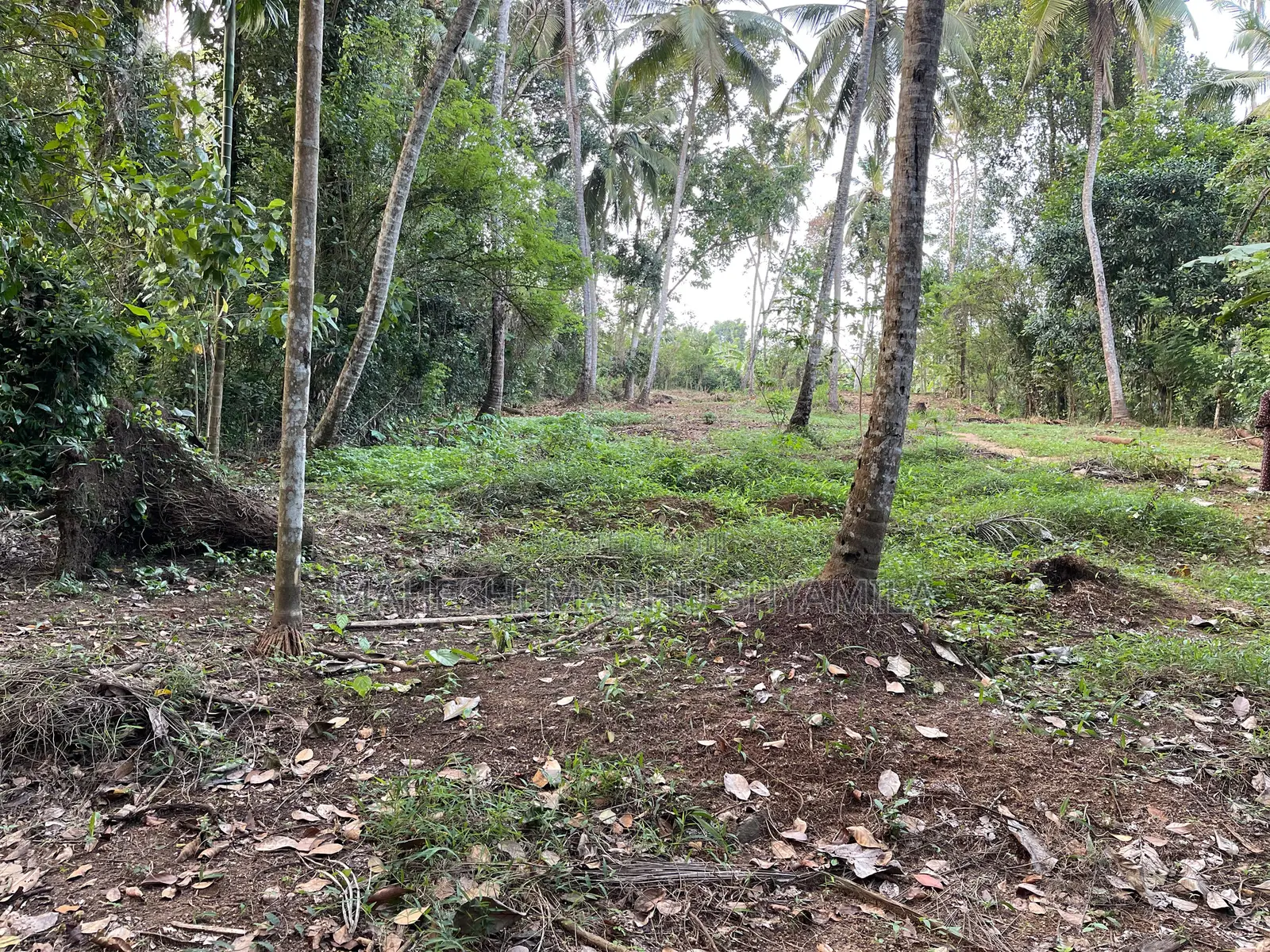 Land for Sale in Polgahawela