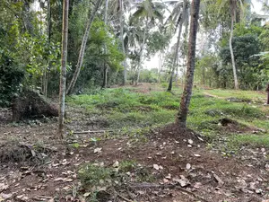 Land for Sale in Polgahawela