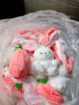 Photo - Strawberry Teddy