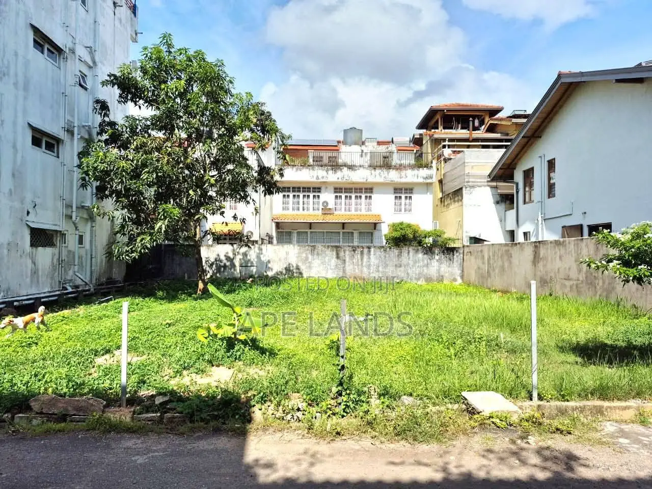 Land for Sale in Nawala