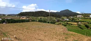 20 Parch Land Sale in Nuwara Eliya