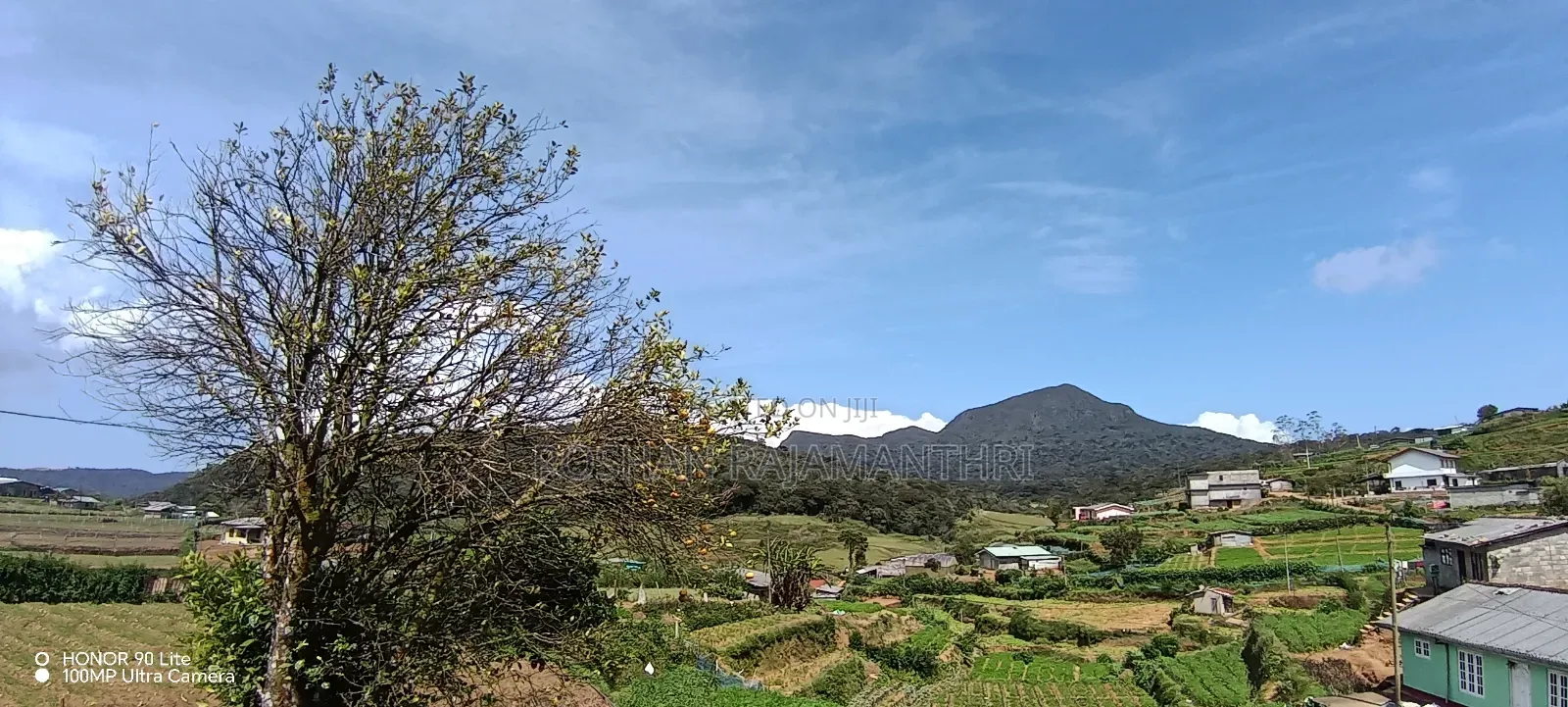 20 Parch Land Sale in Nuwara Eliya