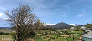 20 Parch Land Sale in Nuwara Eliya