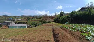 20 Parch Land Sale in Nuwara Eliya