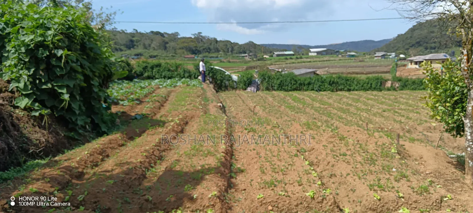 20 Parch Land Sale in Nuwara Eliya