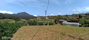20 Parch Land Sale in Nuwara Eliya
