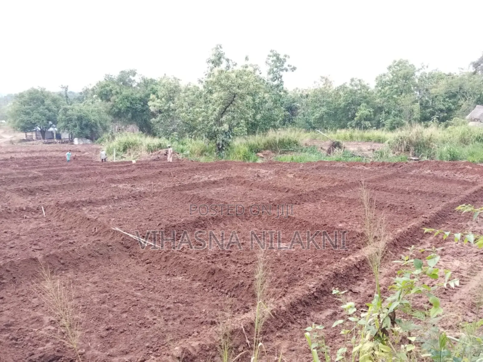 Land For Sale With House