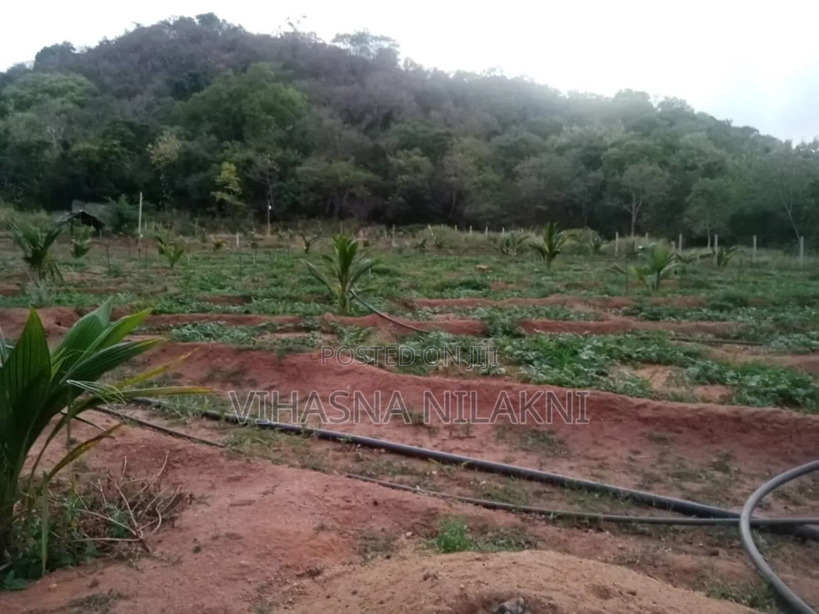 Land For Sale With House