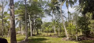 Wariyapola Commercial Land for Sale