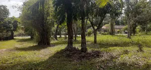 Wariyapola Commercial Land for Sale