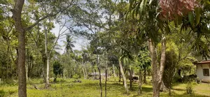 Wariyapola Commercial Land for Sale