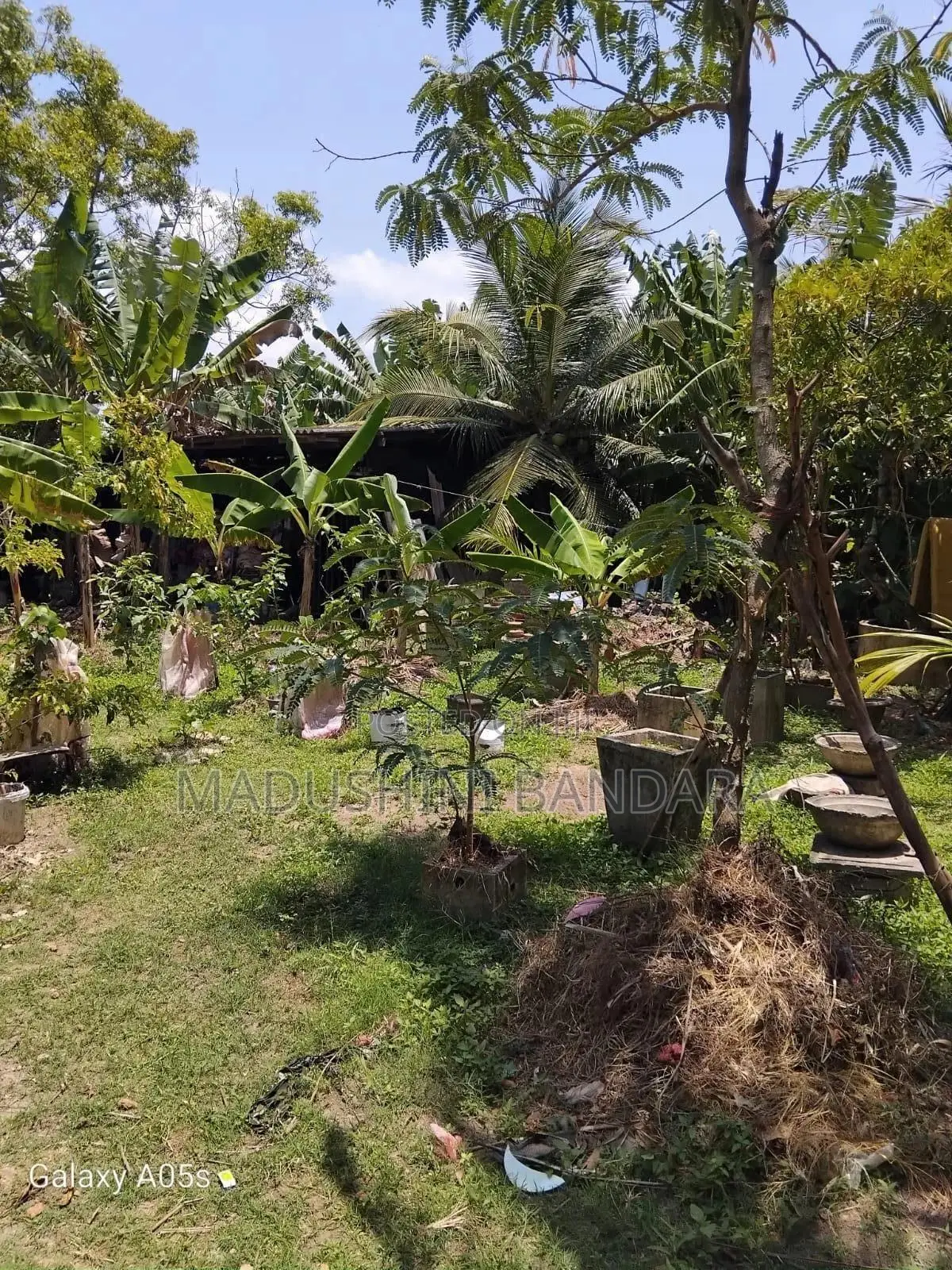 Land for Sale in Matara Polhena