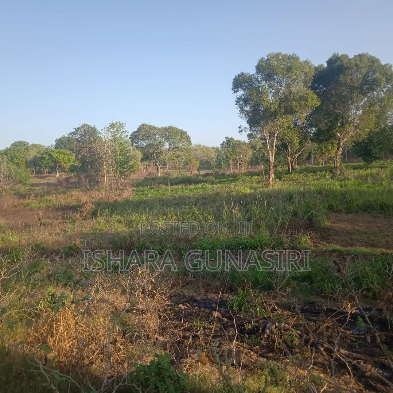 Land for Sale