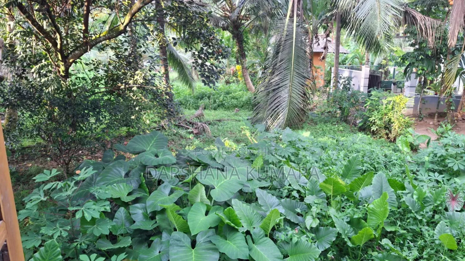 Purchase 10 K Laksha 50ta