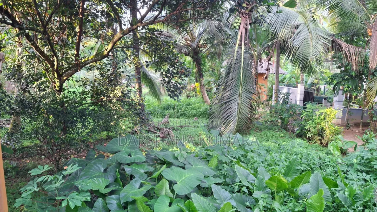 Purchase 10 K Laksha 50ta