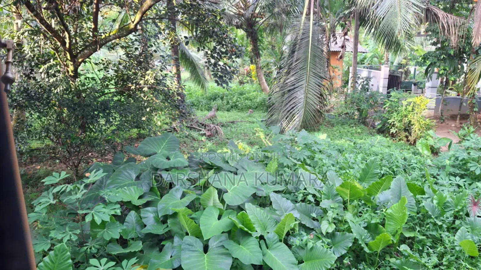 Purchase 10 K Laksha 50ta