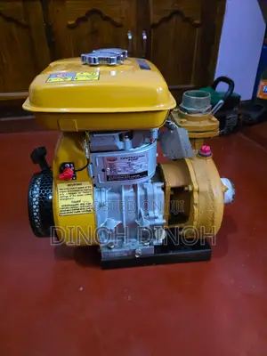 Photo - Robin Water Pump