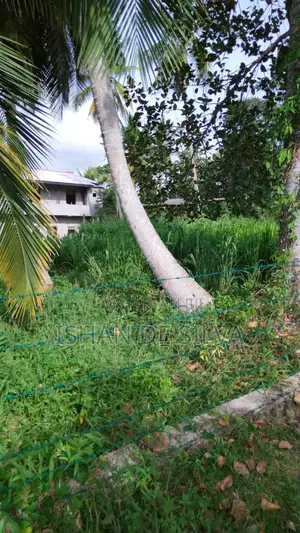 Photo - Land for Sell