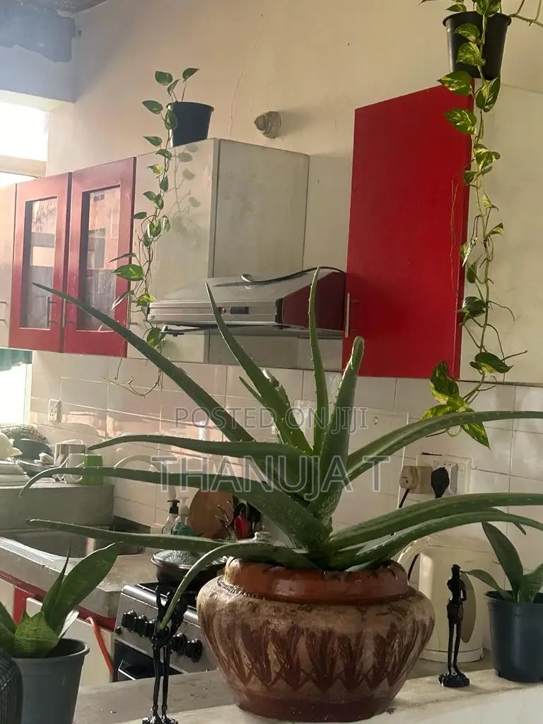 2bdrm Apartment in Battaramulla for sale