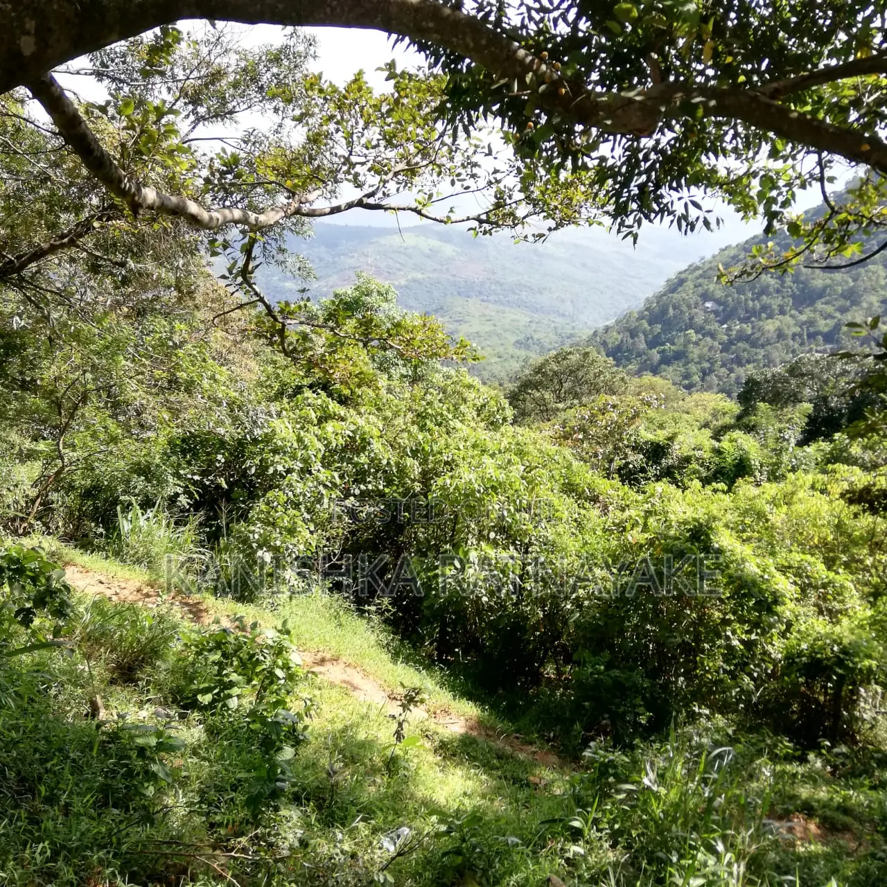 Commercial Land for Sale in Hunnasgiriya