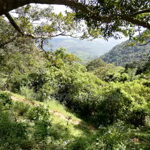 Photo - Commercial Land for Sale in Hunnasgiriya