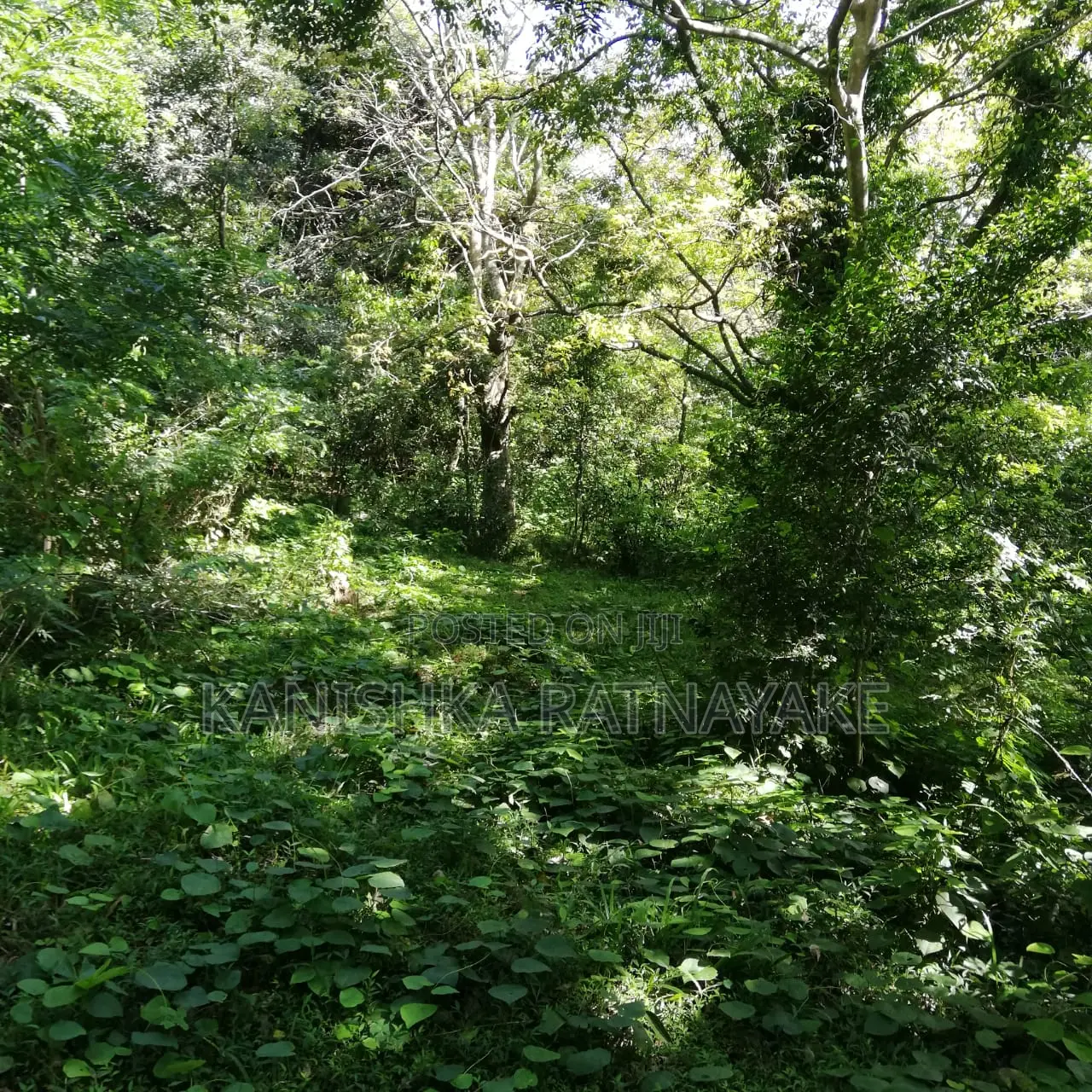 Commercial Land for Sale in Hunnasgiriya