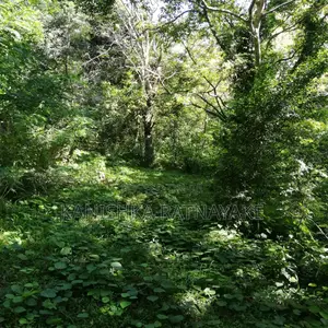 Commercial Land for Sale in Hunnasgiriya