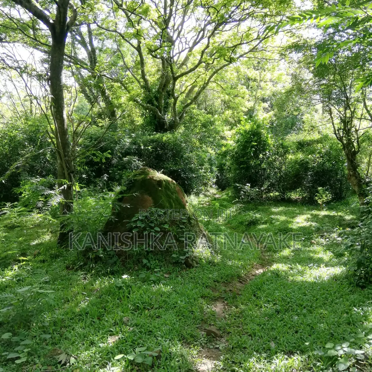 Commercial Land for Sale in Hunnasgiriya