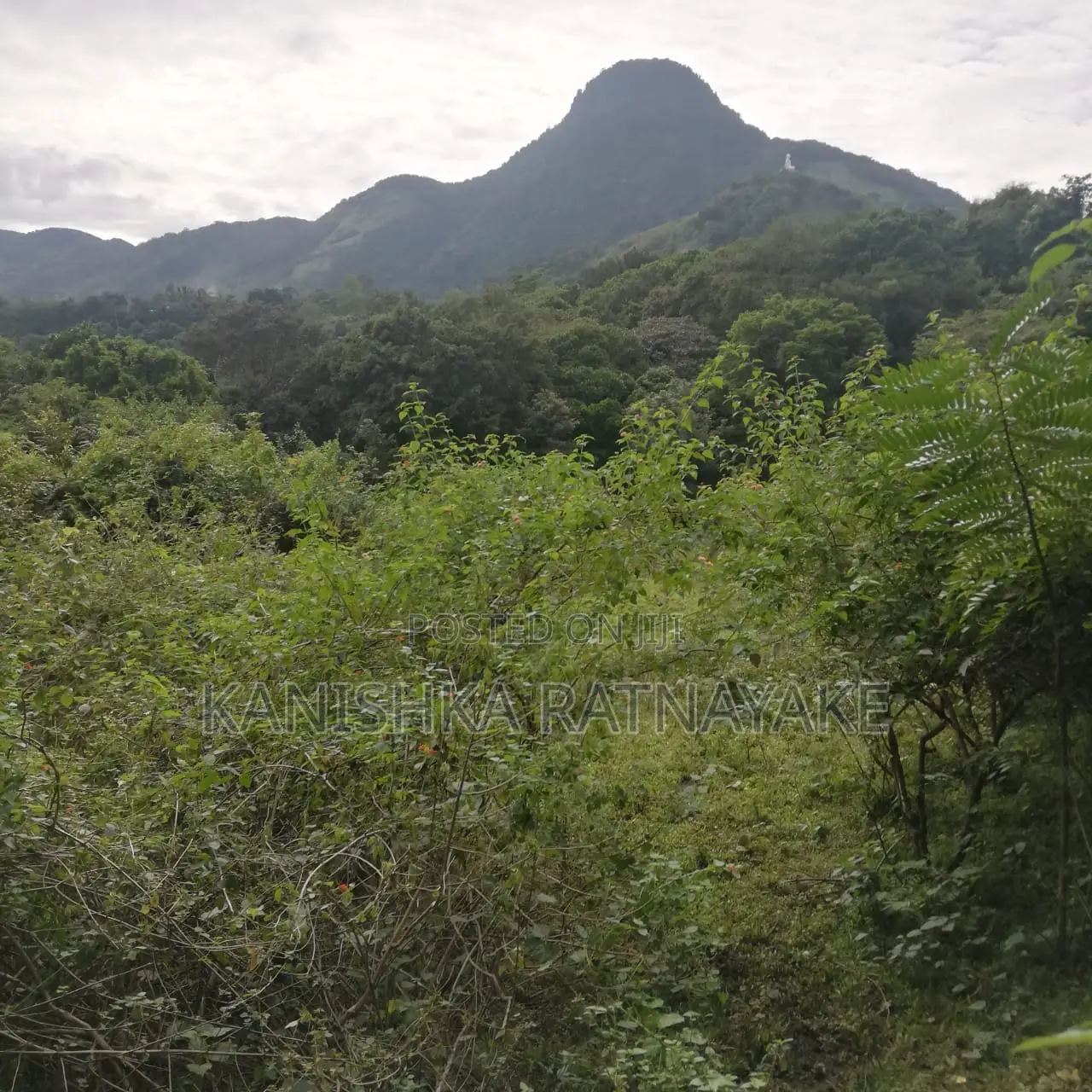 Commercial Land for Sale in Hunnasgiriya