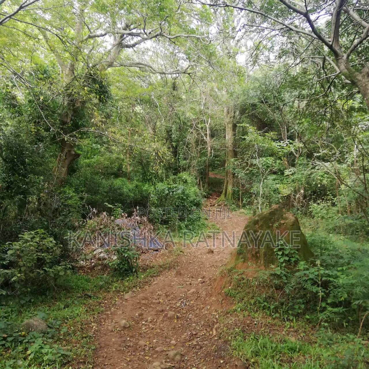 Commercial Land for Sale in Hunnasgiriya