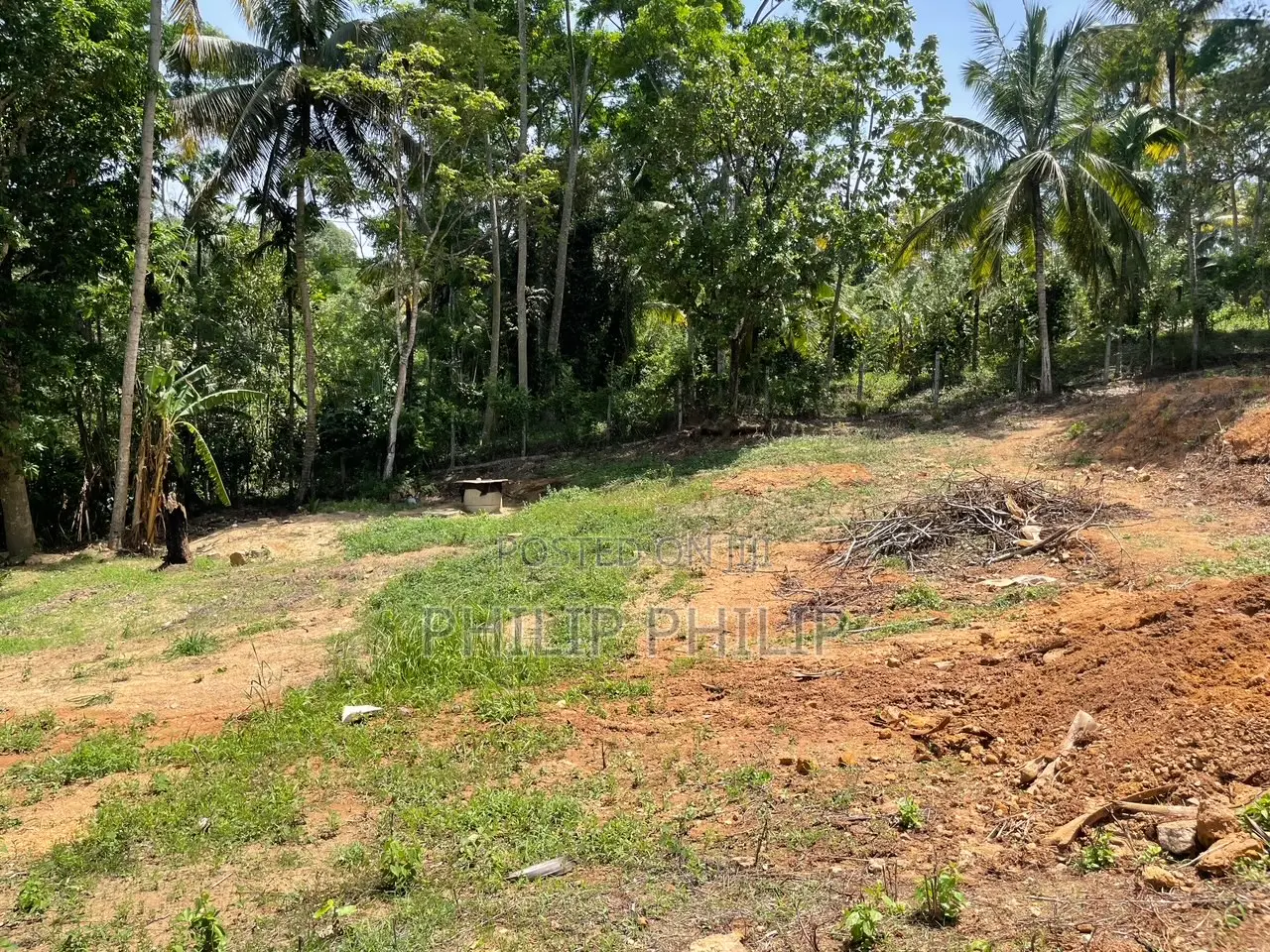73 Perch Land for Sale in Balangoda – Rivefront (Walawe River) Propert