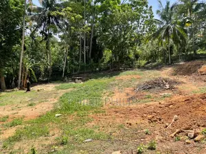 73 Perch Land for Sale in Balangoda – Rivefront (Walawe River) Propert