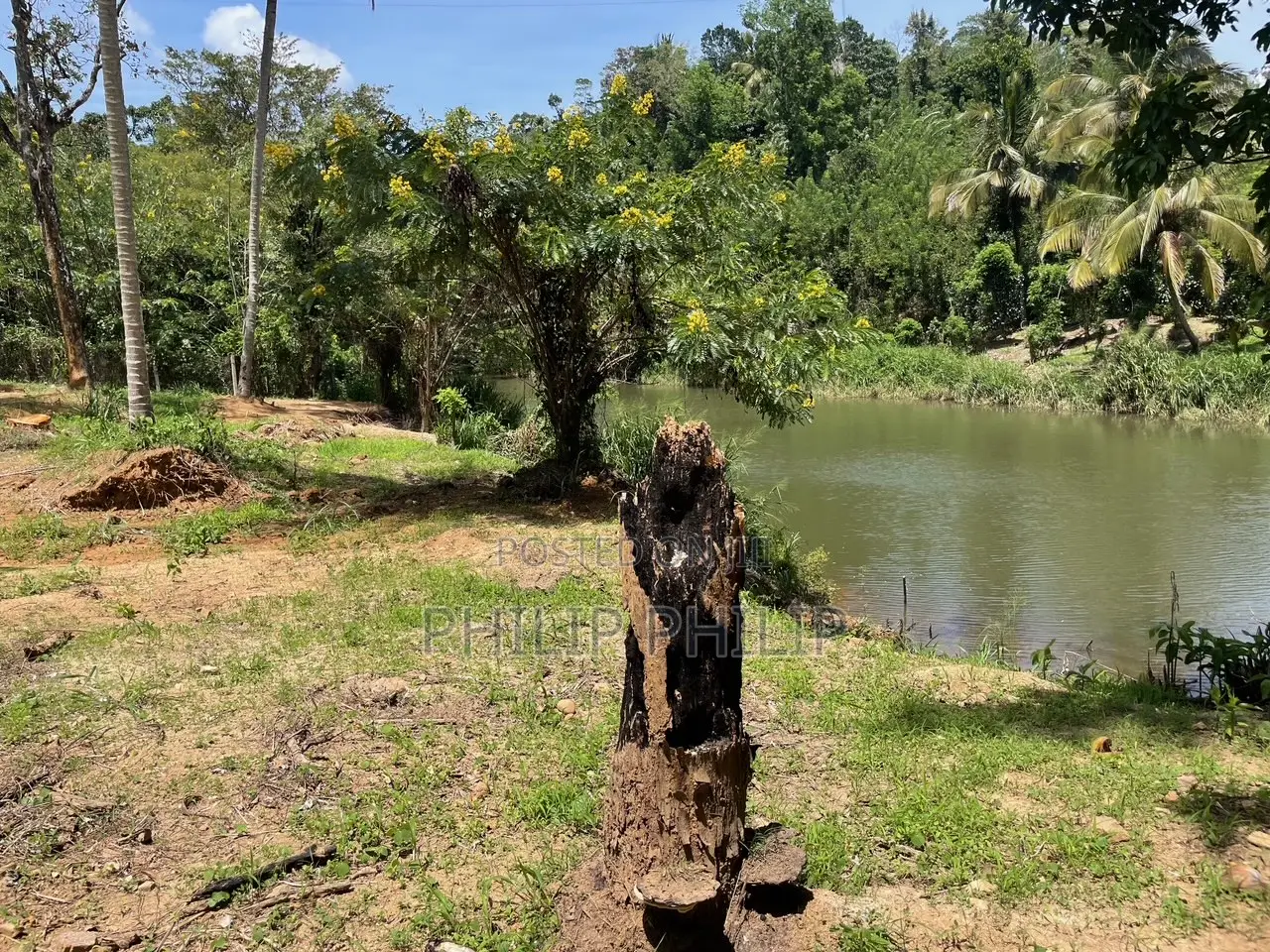 73 Perch Land for Sale in Balangoda – Rivefront (Walawe River) Propert