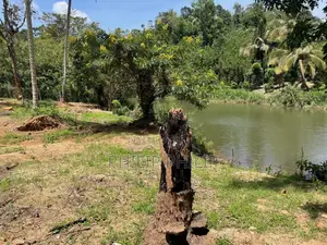 73 Perch Land for Sale in Balangoda – Rivefront (Walawe River) Propert