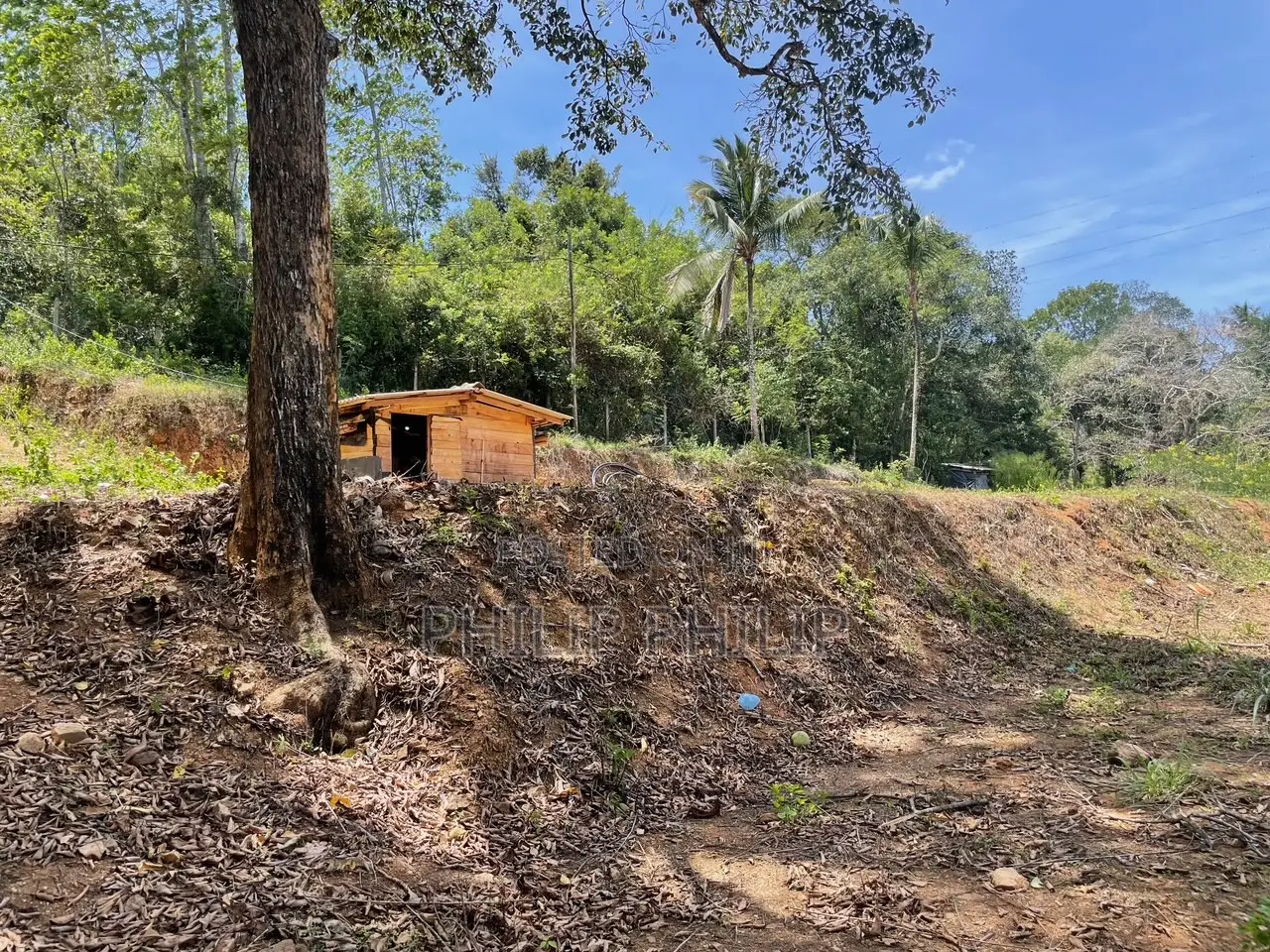 73 Perch Land for Sale in Balangoda – Rivefront (Walawe River) Propert