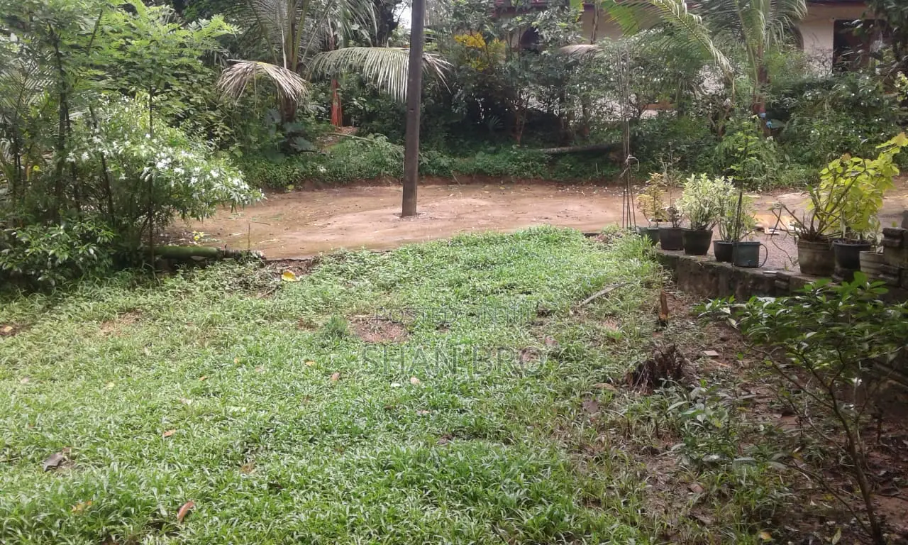 පිටිපන මායාමවත Land Sale