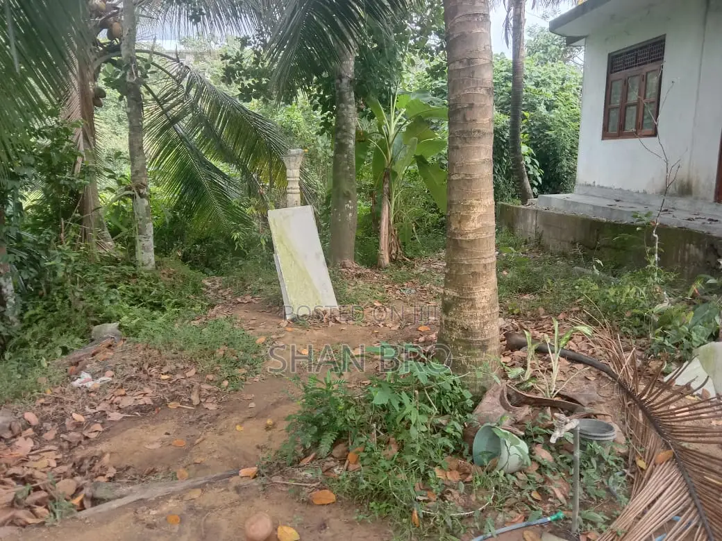 පිටිපන මායාමවත Land Sale