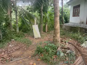 පිටිපන මායාමවත Land Sale