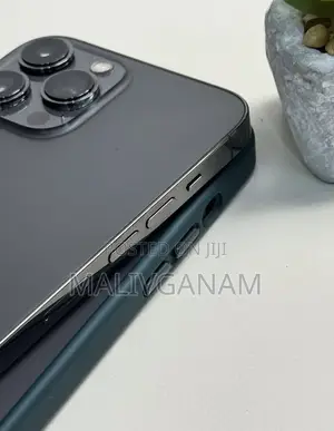 New Apple iPhone 13 Pro Max 256 GB Black