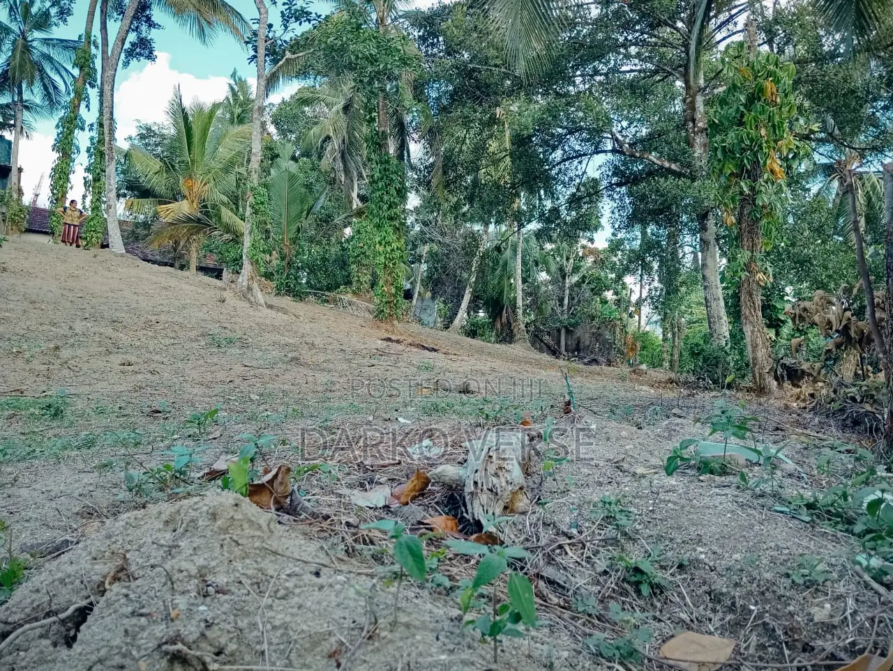 Land Sale in Karapitiya