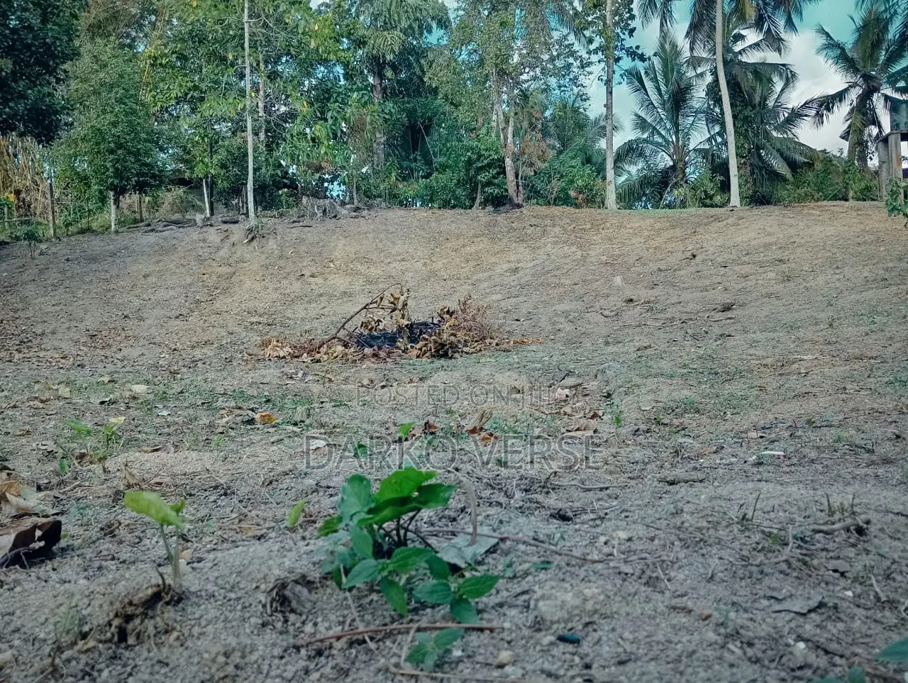 Land Sale in Karapitiya