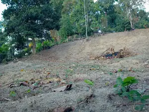 Land Sale in Karapitiya