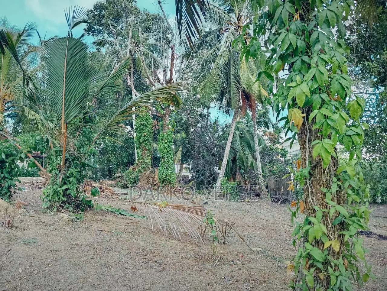 Land Sale in Karapitiya
