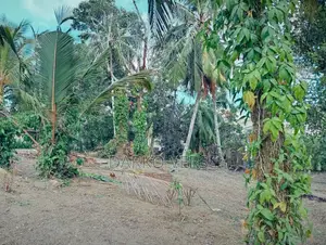 Land Sale in Karapitiya