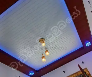 Amano Gutter Service