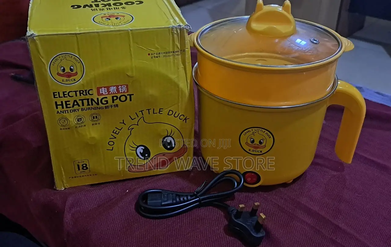 Electric Cooking Pot