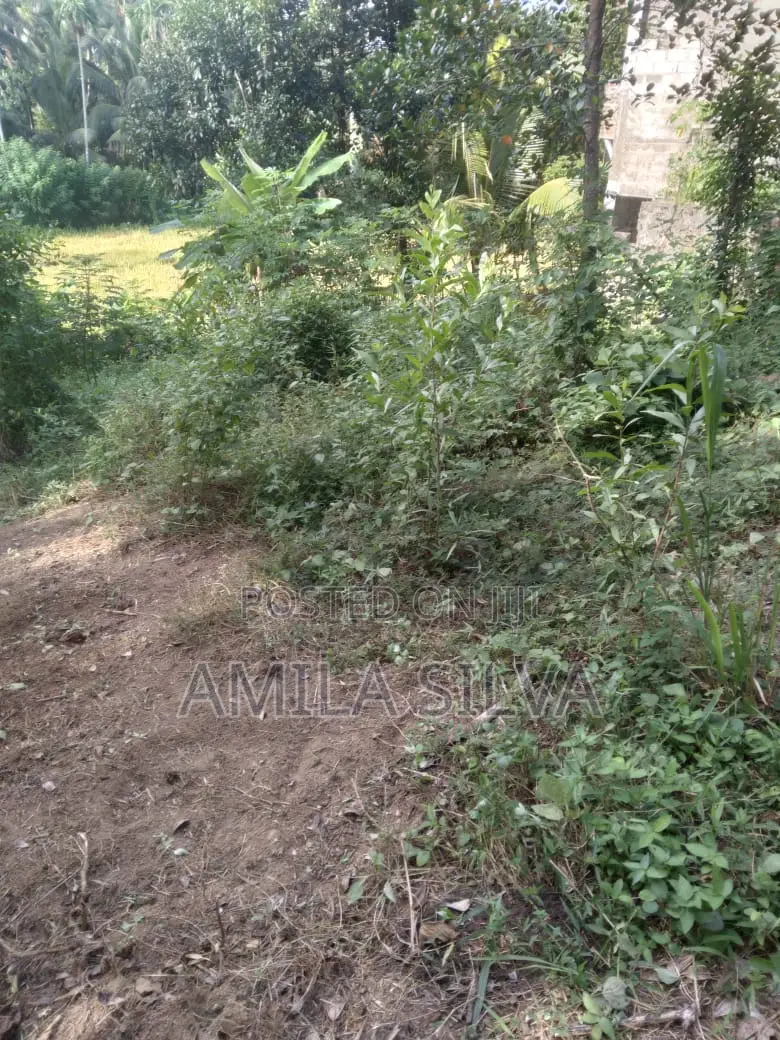 Kalutara Dodangoda Land for Sale